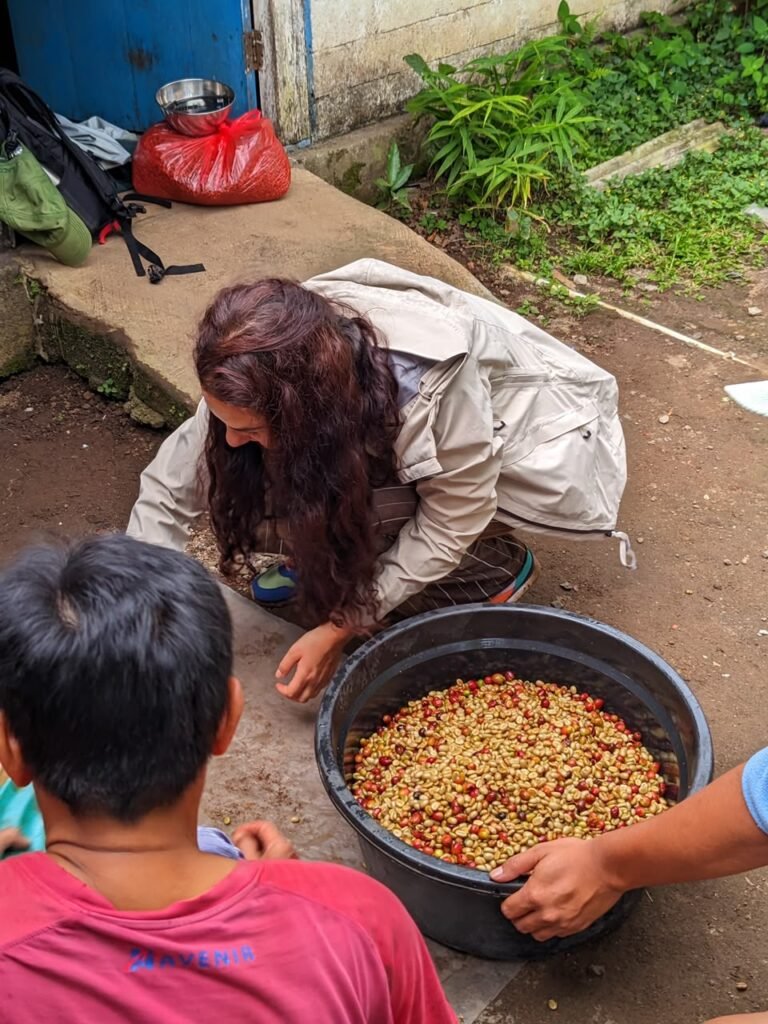 coffee tour